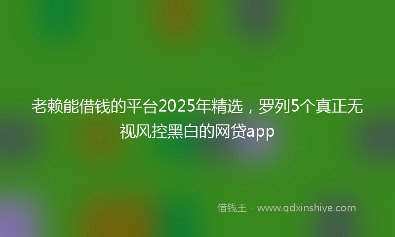 老赖能借钱的平台2025年精选，罗列5个真正无视风控黑白的网贷app