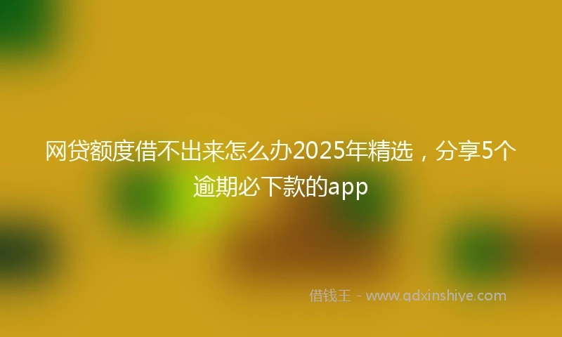 网贷额度借不出来怎么办2025年精选，分享5个逾期必下款的app