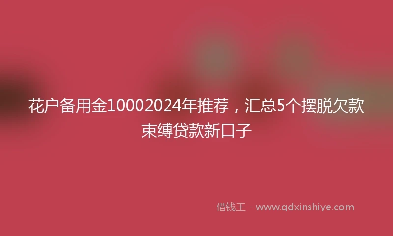 花户备用金10002024年推荐，汇总5个摆脱欠款束缚贷款新口子