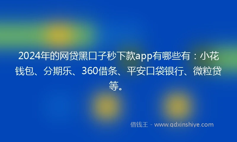 2024年的网贷黑口子秒下款app有哪些有：小花钱包、分期乐、360借条、平安口袋银行、微粒贷等。