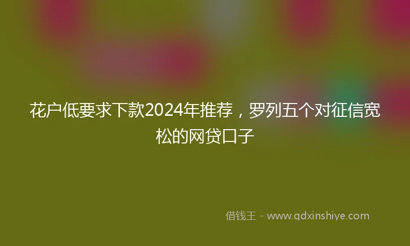 花户低要求下款2024年推荐，罗列五个对征信宽松的网贷口子