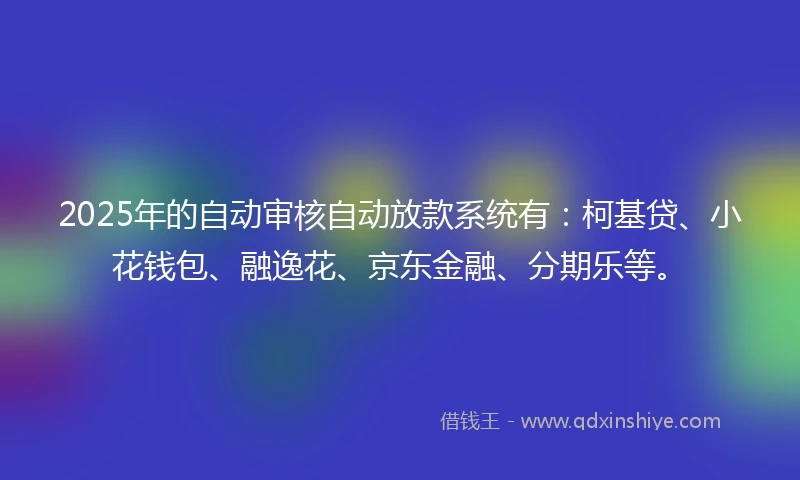 2025年的自动审核自动放款系统有：柯基贷、小花钱包、融逸花、京东金融、分期乐等。