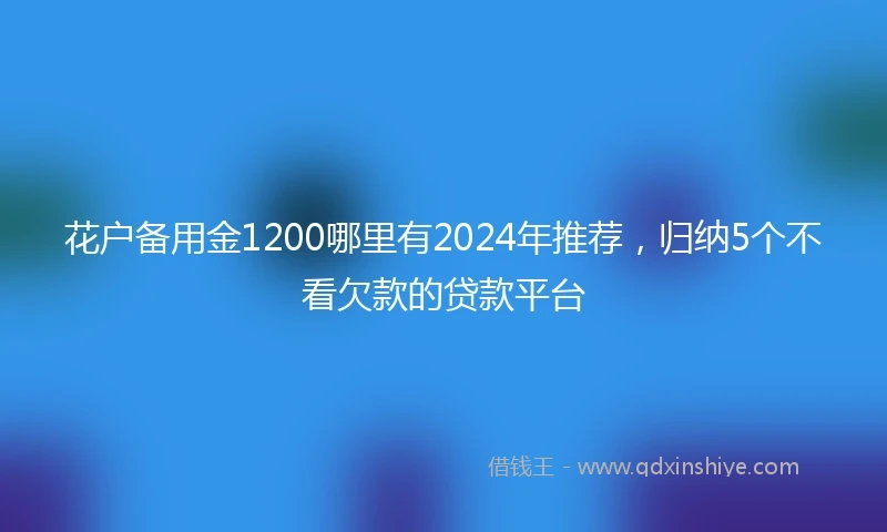 花户备用金1200哪里有2024年推荐，归纳5个不看欠款的贷款平台