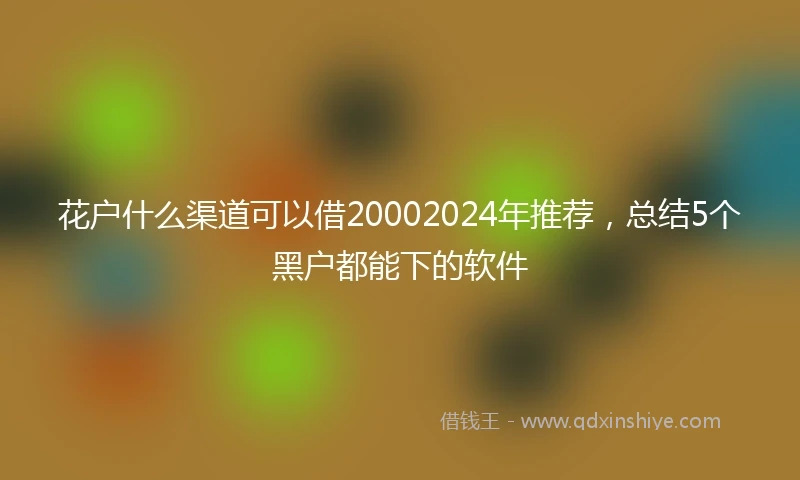 花户什么渠道可以借20002024年推荐，总结5个黑户都能下的软件