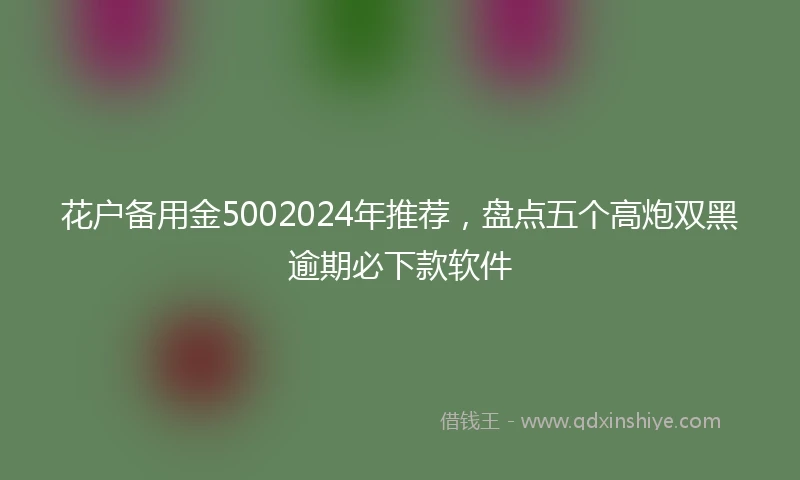 花户备用金5002024年推荐，盘点五个高炮双黑逾期必下款软件