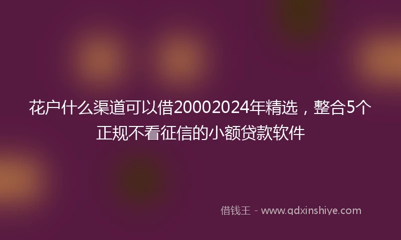 花户什么渠道可以借20002024年精选，整合5个正规不看征信的小额贷款软件