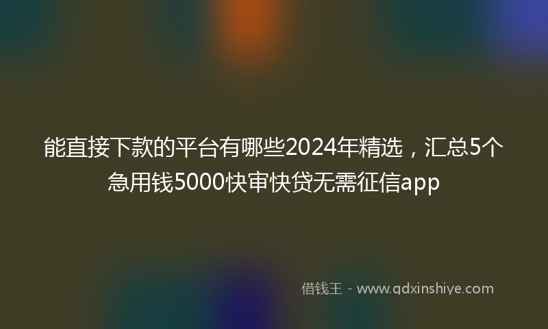 能直接下款的平台有哪些2024年精选，汇总5个急用钱5000快审快贷无需征信app