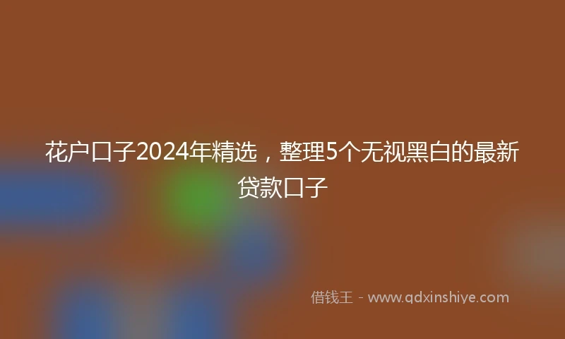 花户口子2024年精选，整理5个无视黑白的最新贷款口子