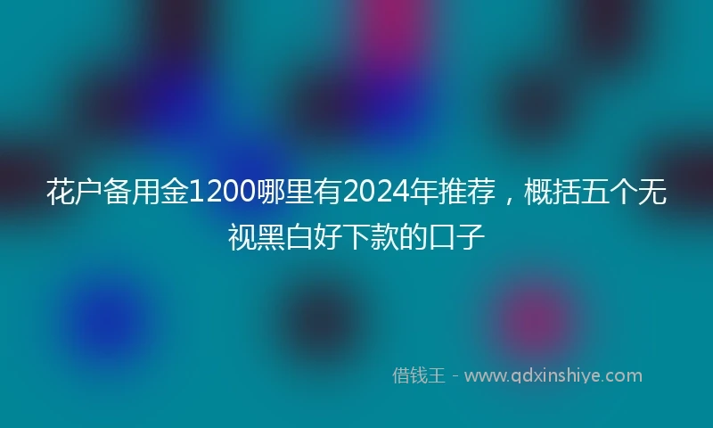花户备用金1200哪里有2024年推荐，概括五个无视黑白好下款的口子