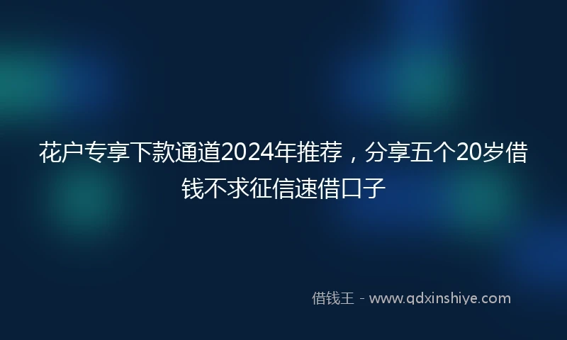 花户专享下款通道2024年推荐，分享五个20岁借钱不求征信速借口子