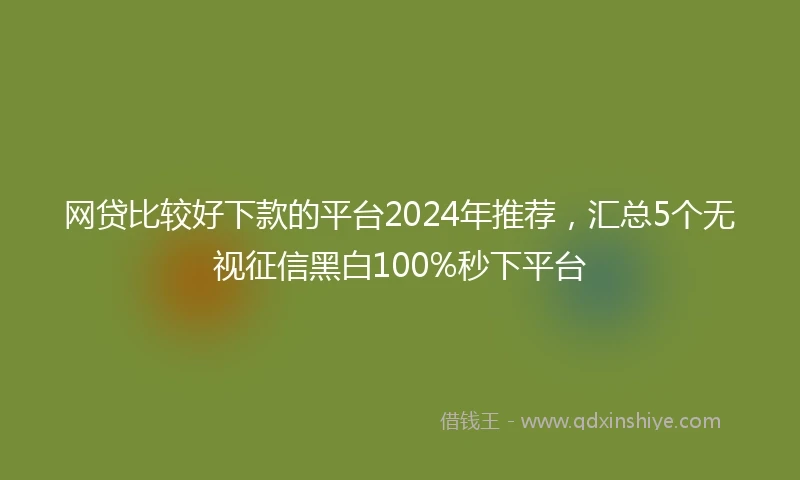 网贷比较好下款的平台2024年推荐，汇总5个无视征信黑白100%秒下平台