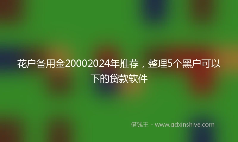 花户备用金20002024年推荐，整理5个黑户可以下的贷款软件