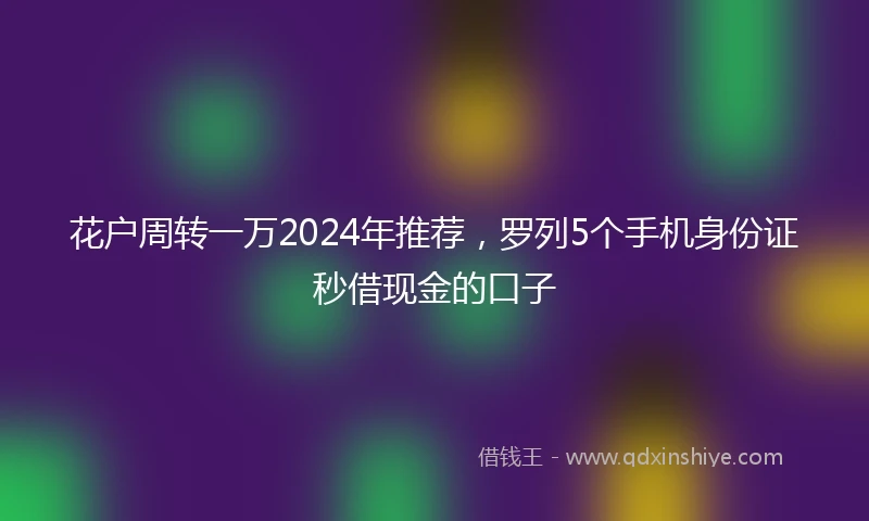 花户周转一万2024年推荐，罗列5个手机身份证秒借现金的口子