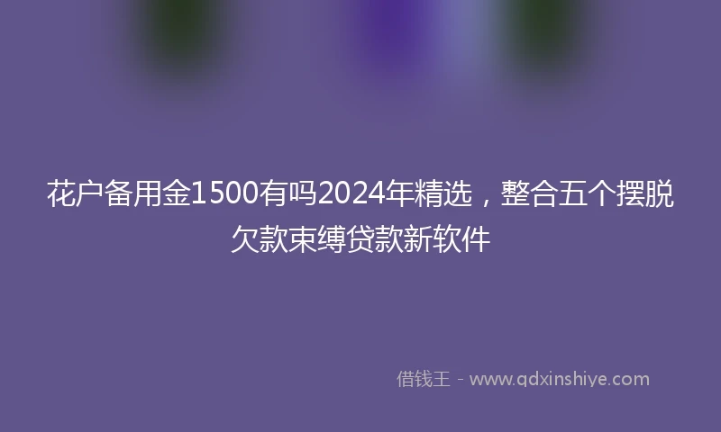 花户备用金1500有吗2024年精选，整合五个摆脱欠款束缚贷款新软件