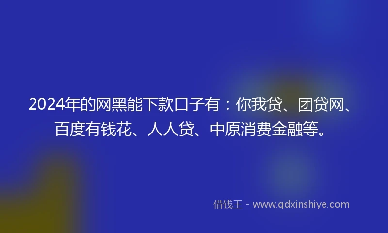 2024年的网黑能下款口子有：你我贷、团贷网、百度有钱花、人人贷、中原消费金融等。