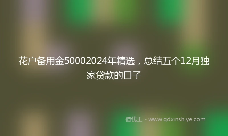 花户备用金50002024年精选，总结五个12月独家贷款的口子