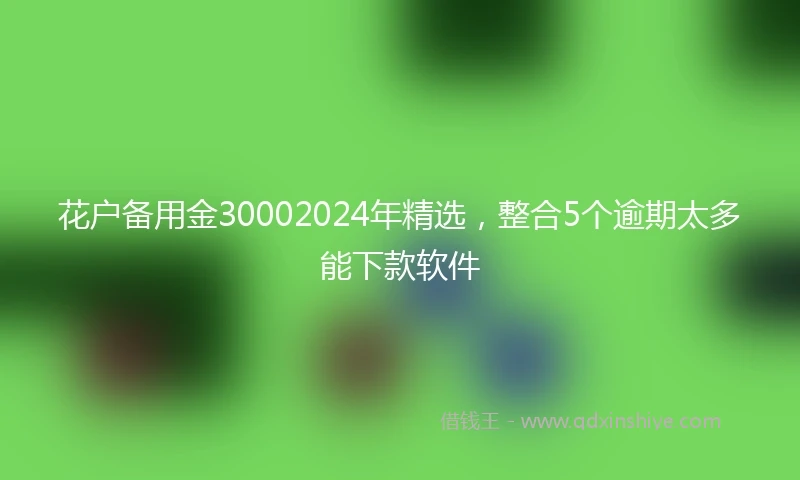 花户备用金30002024年精选，整合5个逾期太多能下款软件