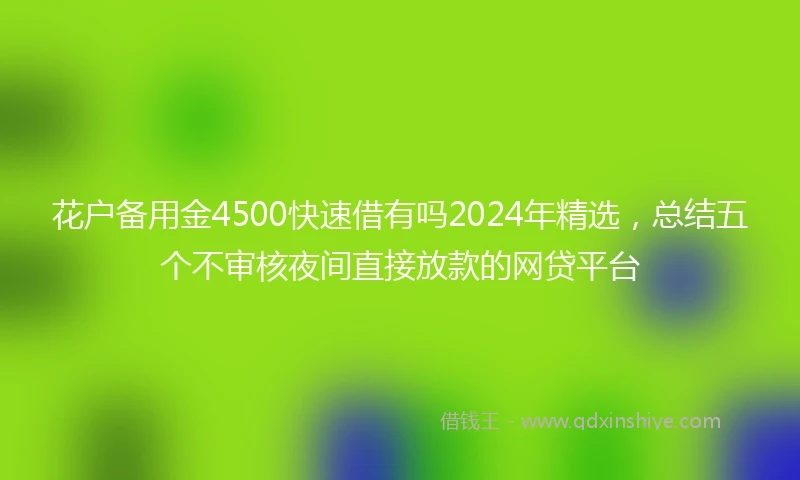 花户备用金4500快速借有吗2024年精选，总结五个不审核夜间直接放款的网贷平台