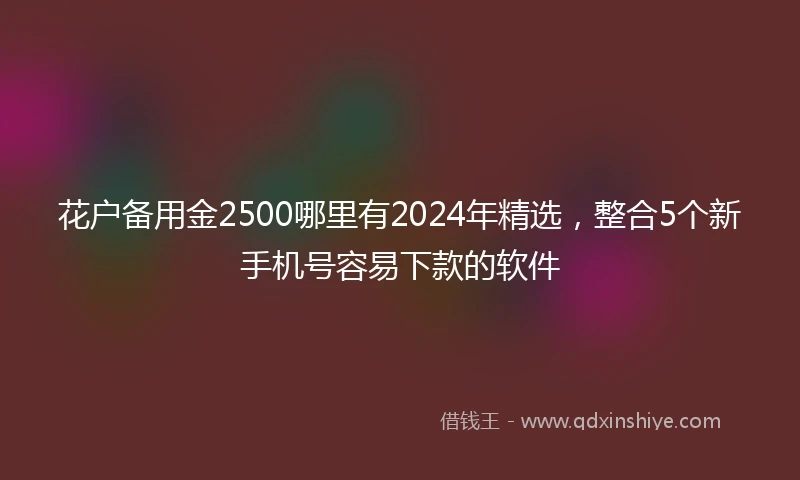 花户备用金2500哪里有2024年精选，整合5个新手机号容易下款的软件