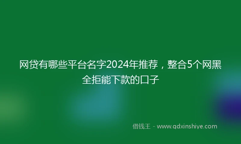网贷有哪些平台名字2024年推荐，整合5个网黑全拒能下款的口子
