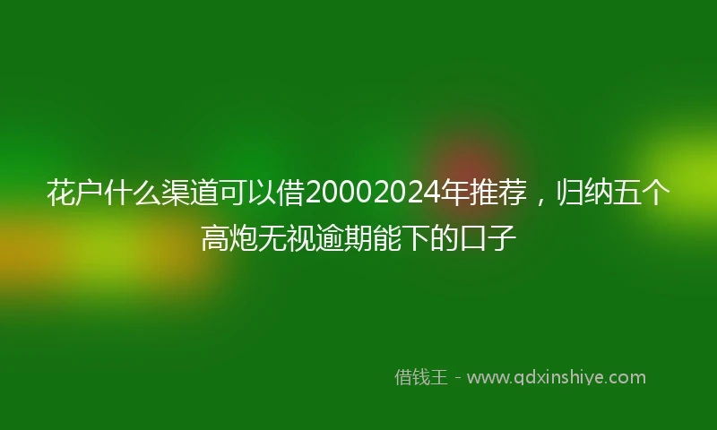 花户什么渠道可以借20002024年推荐，归纳五个高炮无视逾期能下的口子