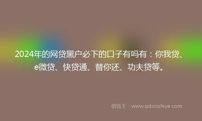 2024年的网贷黑户必下的口子有吗有：你我贷、e微贷、快贷通、替你还、功夫贷等。