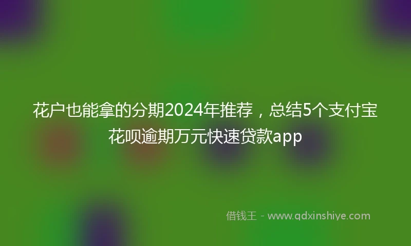 花户也能拿的分期2024年推荐，总结5个支付宝花呗逾期万元快速贷款app