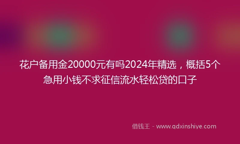 花户备用金20000元有吗2024年精选，概括5个急用小钱不求征信流水轻松贷的口子