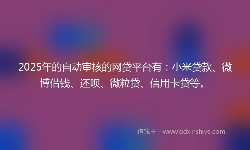 2025年的自动审核的网贷平台有：小米贷款、微博借钱、还呗、微粒贷、信用卡贷等。