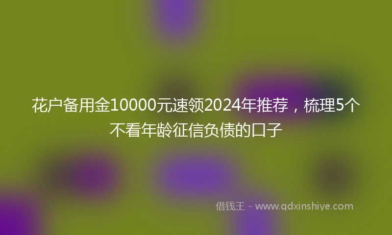 花户备用金10000元速领2024年推荐，梳理5个不看年龄征信负债的口子
