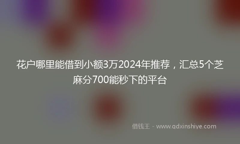 花户哪里能借到小额3万2024年推荐，汇总5个芝麻分700能秒下的平台