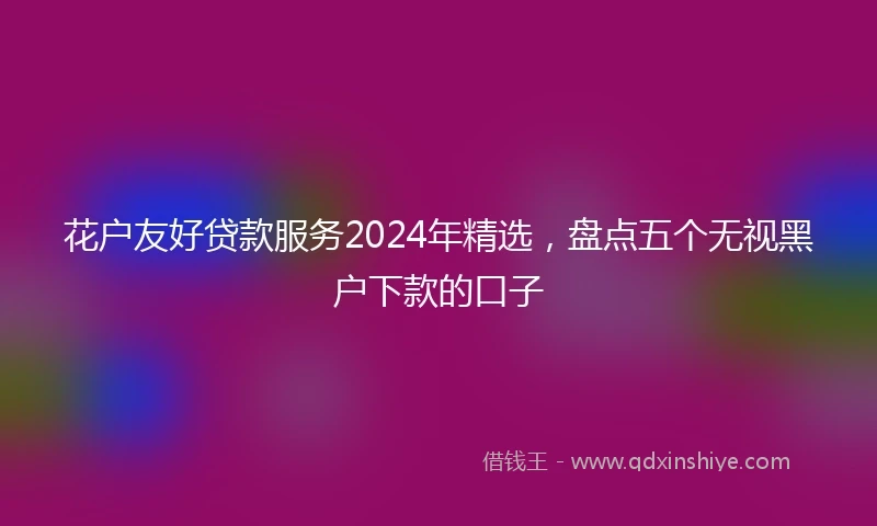 花户友好贷款服务2024年精选，盘点五个无视黑户下款的口子