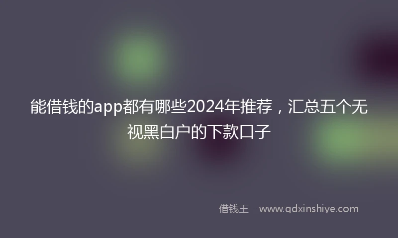 能借钱的app都有哪些2024年推荐,汇总五个无视黑白户的下款口子