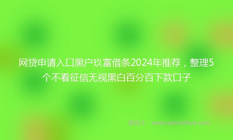 网贷申请入口黑户玖富借条2024年推荐，整理5个不看征信无视黑白百分百下款口子