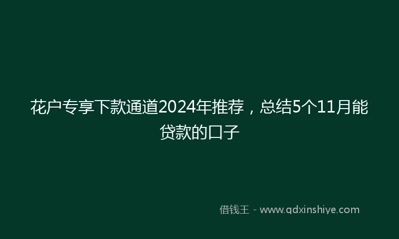花户专享下款通道2024年推荐，总结5个11月能贷款的口子