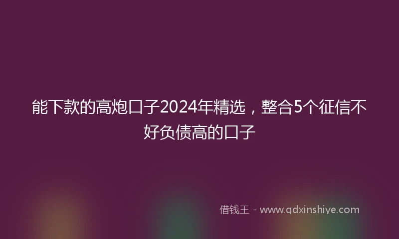 能下款的高炮口子2024年精选，整合5个征信不好负债高的口子