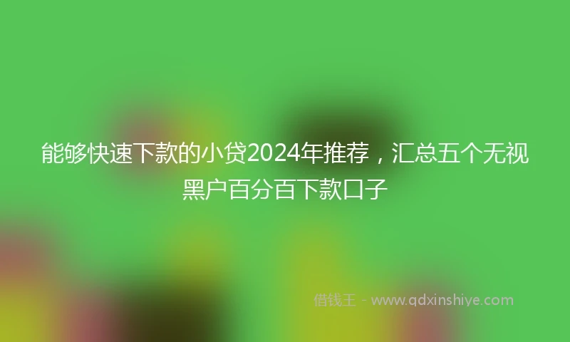 能够快速下款的小贷2024年推荐，汇总五个无视黑户百分百下款口子