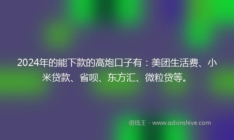 2024年的能下款的高炮口子有：美团生活费、小米贷款、省呗、东方汇、微粒贷等。