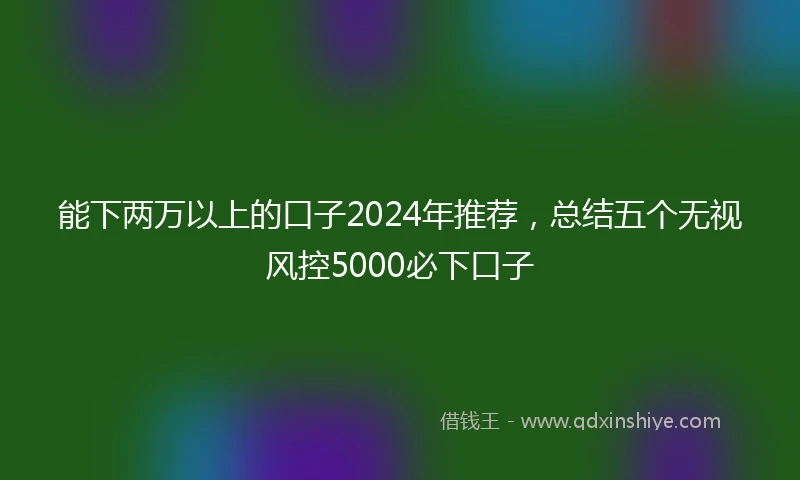 能下两万以上的口子2024年推荐，总结五个无视风控5000必下口子