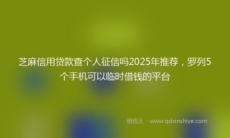 芝麻信用贷款查个人征信吗2025年推荐，罗列5个手机可以临时借钱的平台