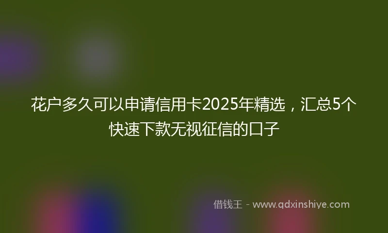 花户多久可以申请信用卡2025年精选，汇总5个快速下款无视征信的口子