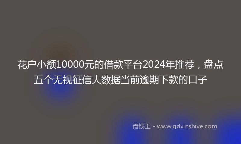 花户小额10000元的借款平台2024年推荐，盘点五个无视征信大数据当前逾期下款的口子