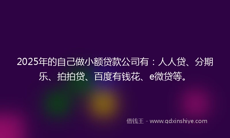 2025年的自己做小额贷款公司有：人人贷、分期乐、拍拍贷、百度有钱花、e微贷等。