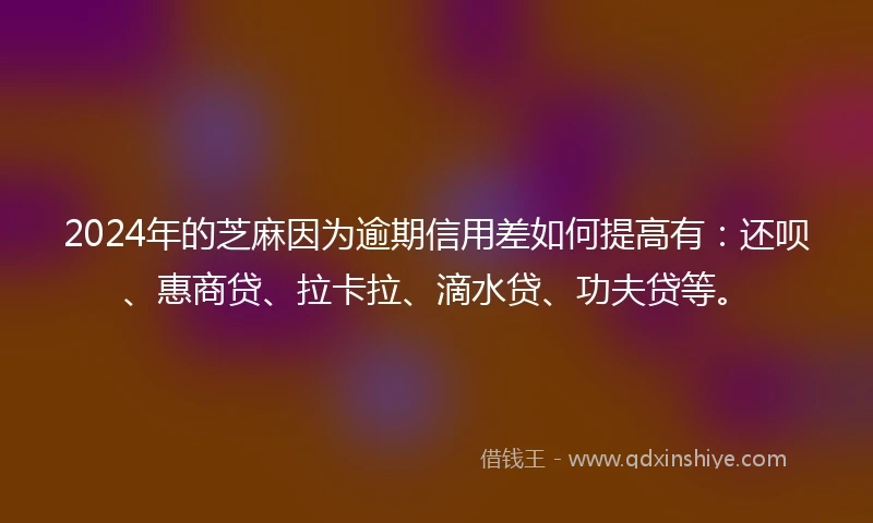2024年的芝麻因为逾期信用差如何提高有：还呗、惠商贷、拉卡拉、滴水贷、功夫贷等。