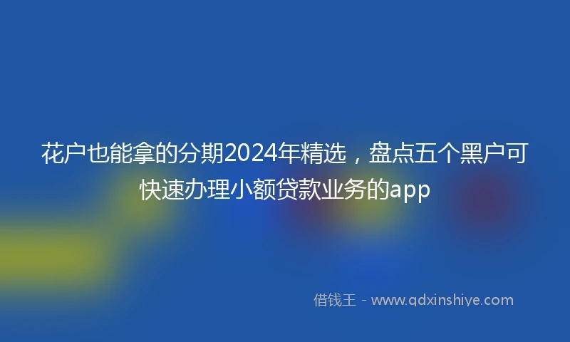 花户也能拿的分期2024年精选，盘点五个黑户可快速办理小额贷款业务的app
