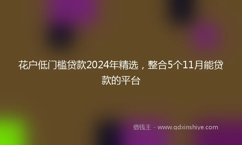 花户低门槛贷款2024年精选，整合5个11月能贷款的平台