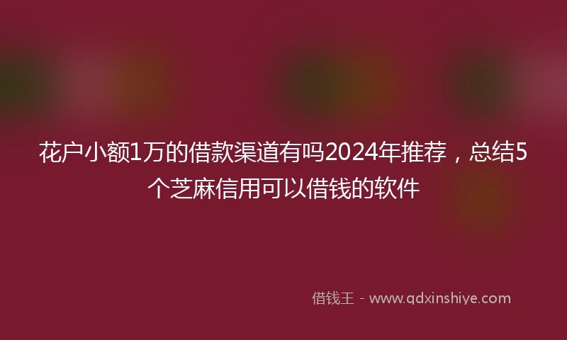 花户小额1万的借款渠道有吗2024年推荐，总结5个芝麻信用可以借钱的软件