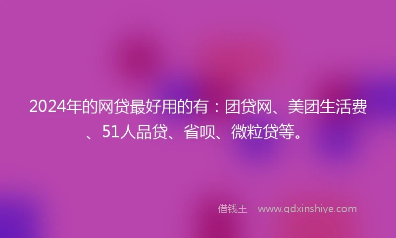 2024年的网贷最好用的有：团贷网、美团生活费、51人品贷、省呗、微粒贷等。