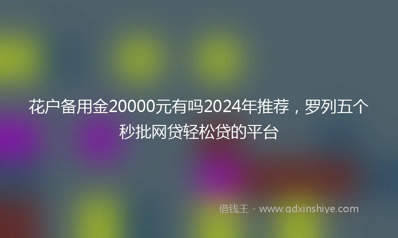 花户备用金20000元有吗2024年推荐，罗列五个秒批网贷轻松贷的平台