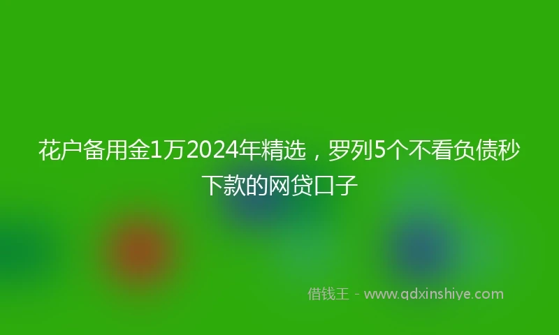 花户备用金1万2024年精选，罗列5个不看负债秒下款的网贷口子